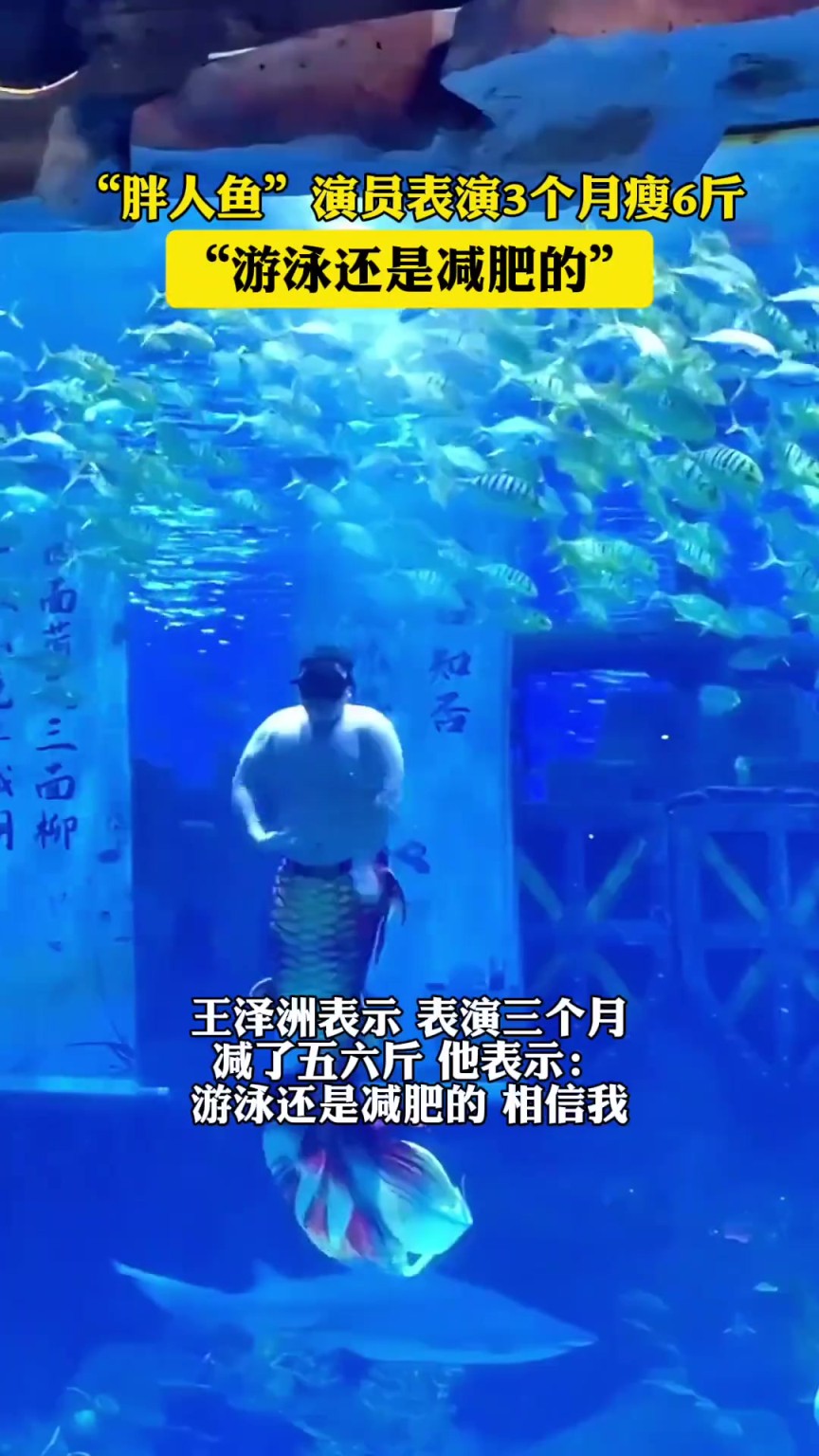 “胖人魚”演員表演3個(gè)月瘦6斤