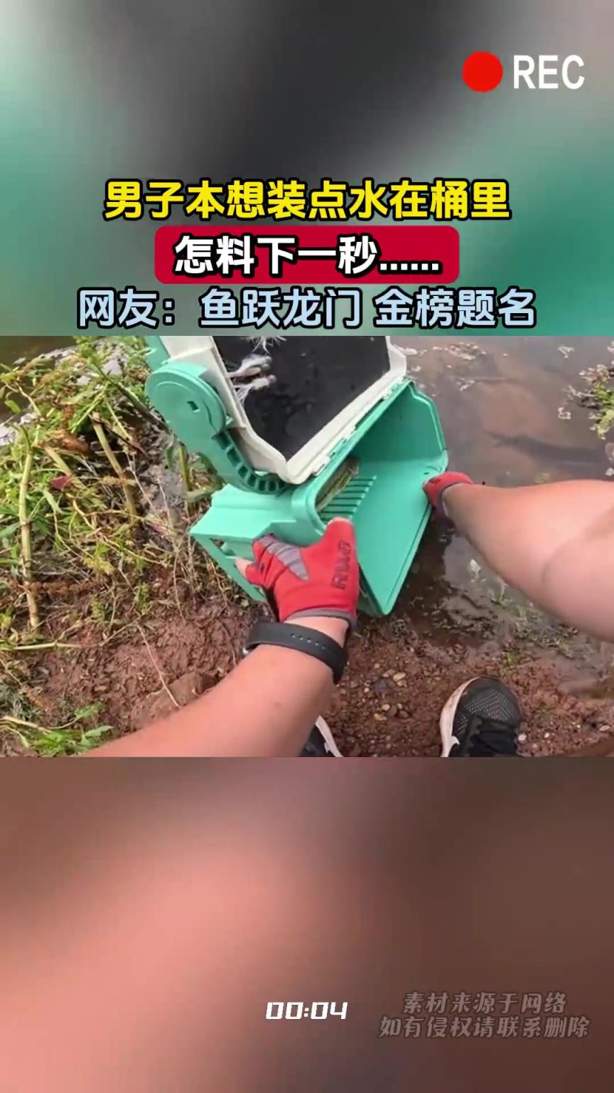 男子本想装点水在桶里，怎料下一秒……网友：鱼跃龙门 金榜题名