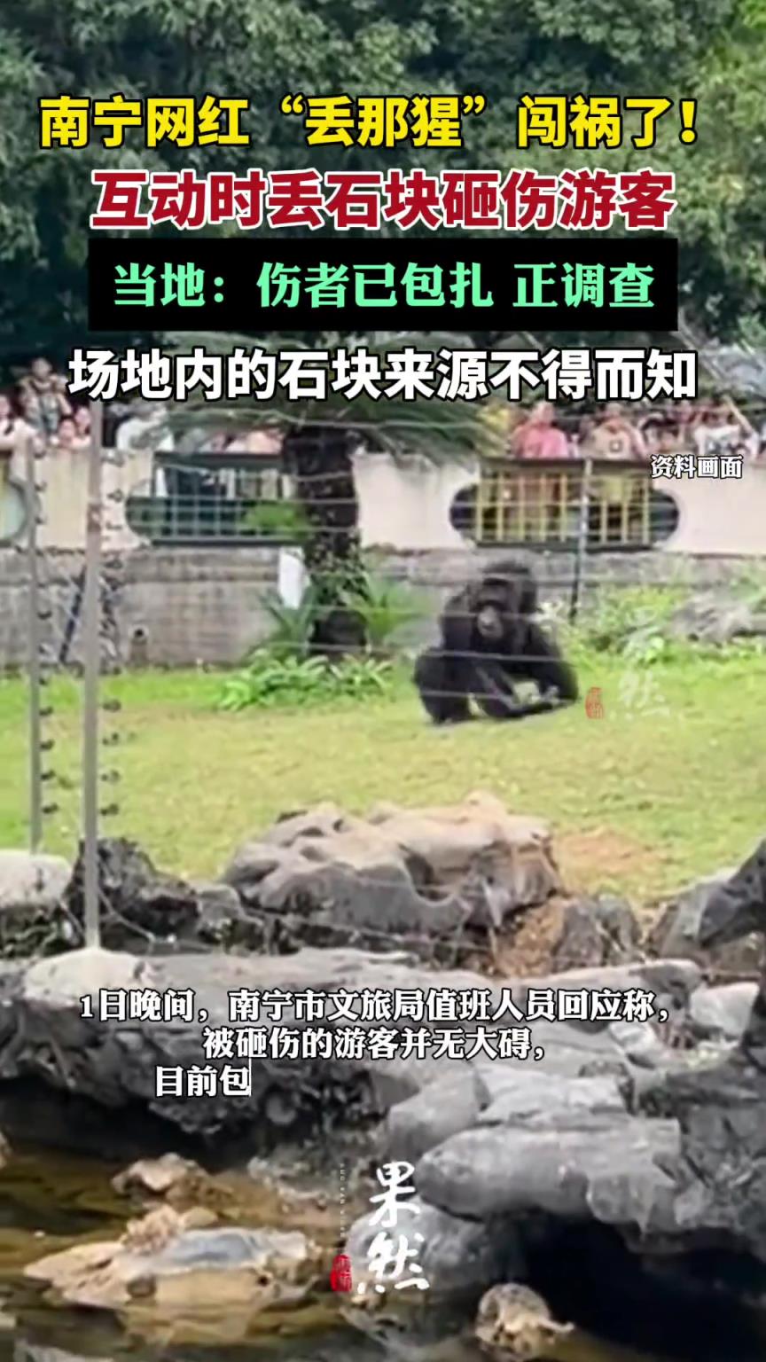 南宁网红“丢那猩”闯祸了