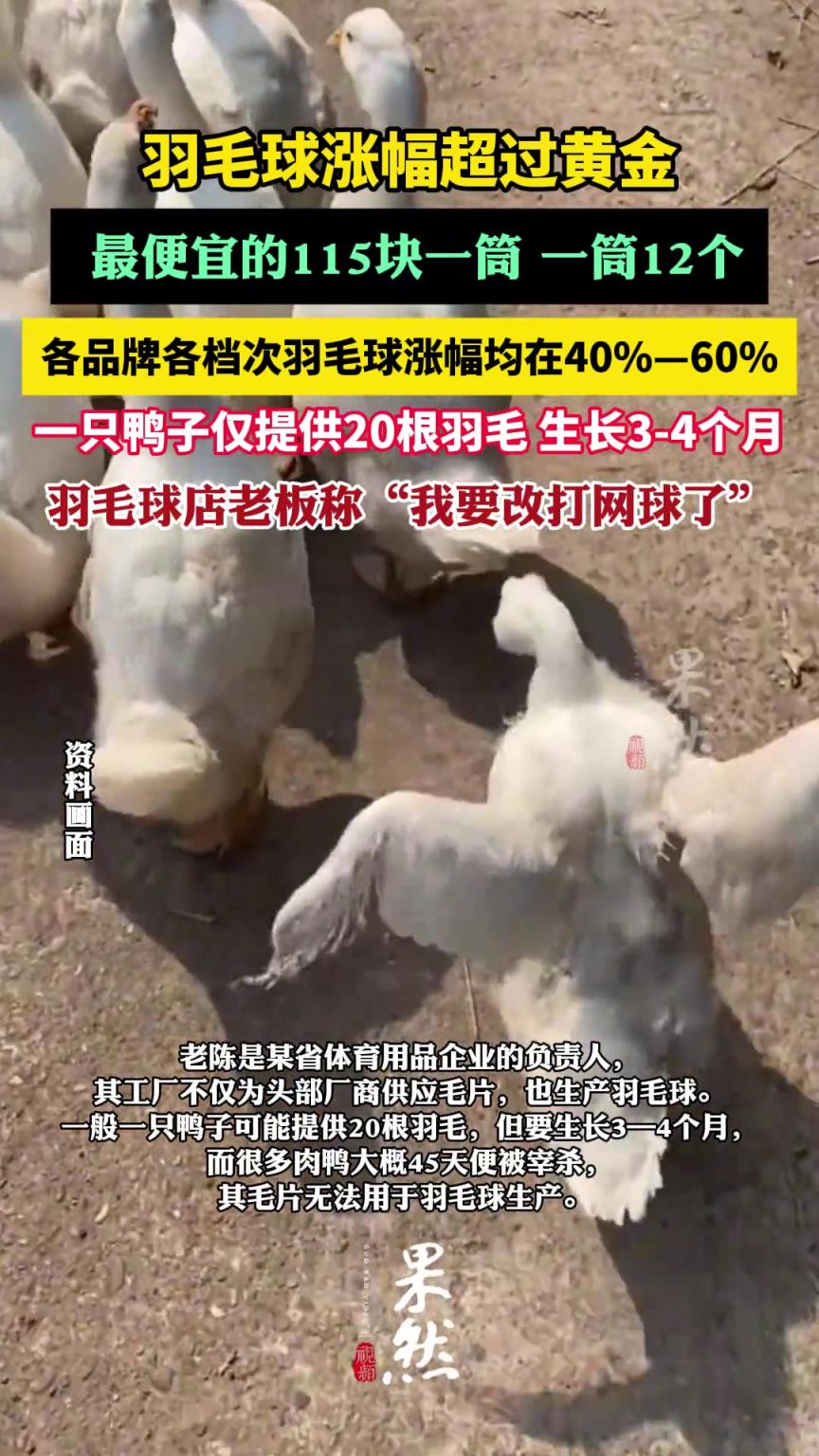 羽毛球太贵羽毛球店老板改打网球