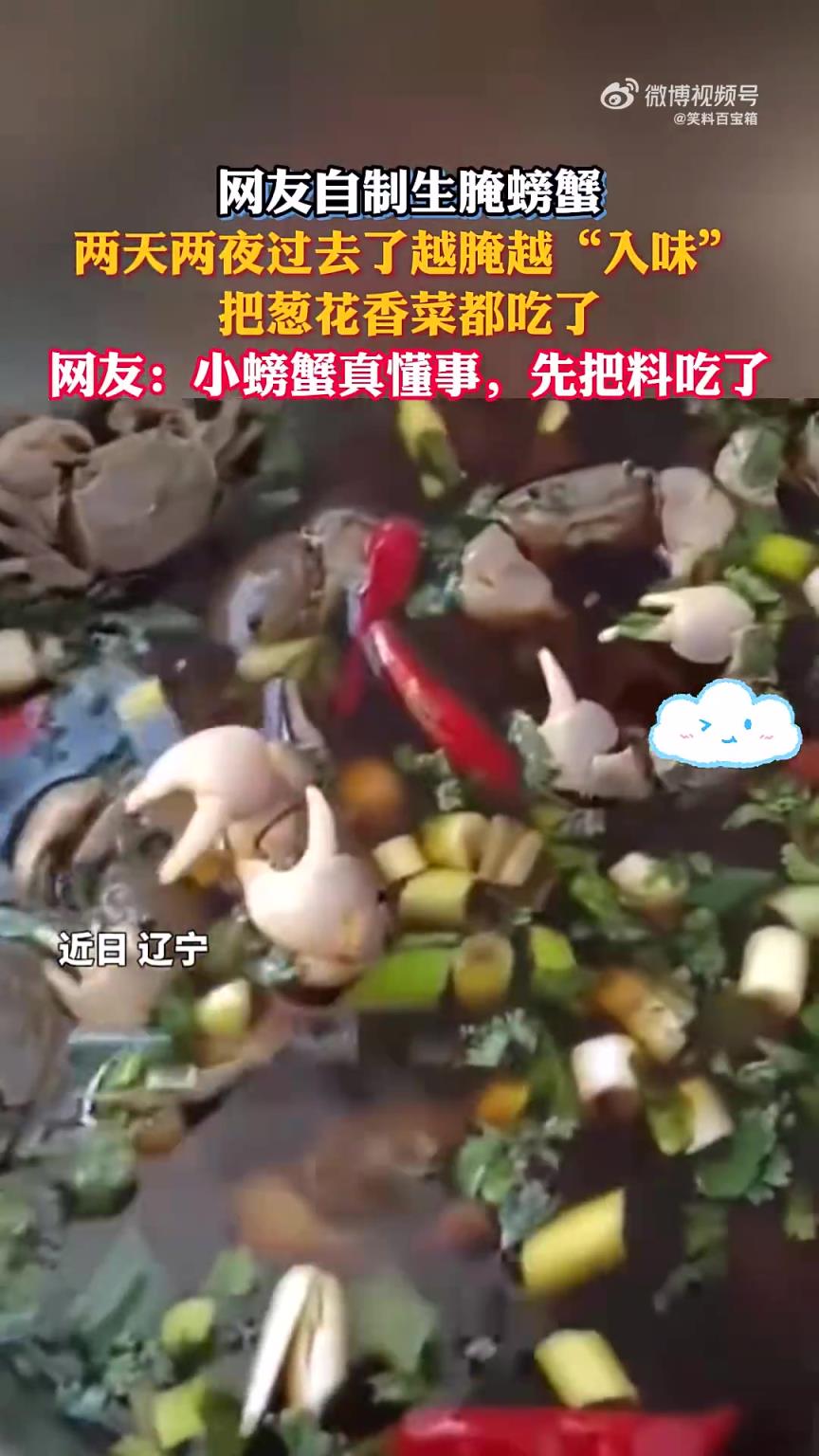 自制生腌螃蟹，两天两夜后螃蟹吃掉葱花香菜