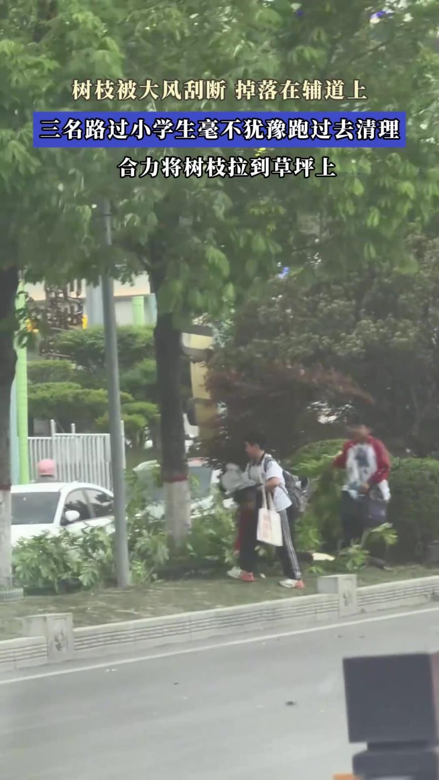 樹枝被大風(fēng)刮斷，掉落在輔道上，三名路過學(xué)生毫不猶豫跑過去清理