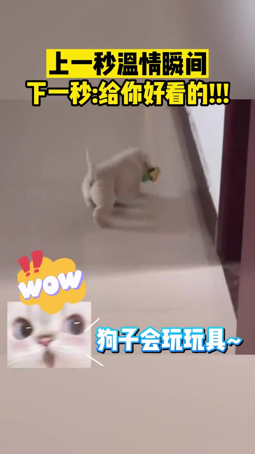 上一秒溫情瞬間，下一秒:給你好看的!!!