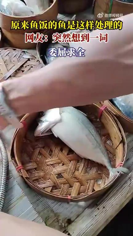 网友发现鱼饭制作中鱼的处理方式，直呼“委屈求全”