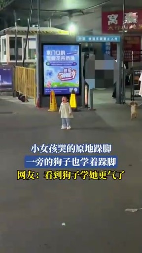 小女孩哭的原地跺腳 一旁的狗子也學(xué)著跺腳