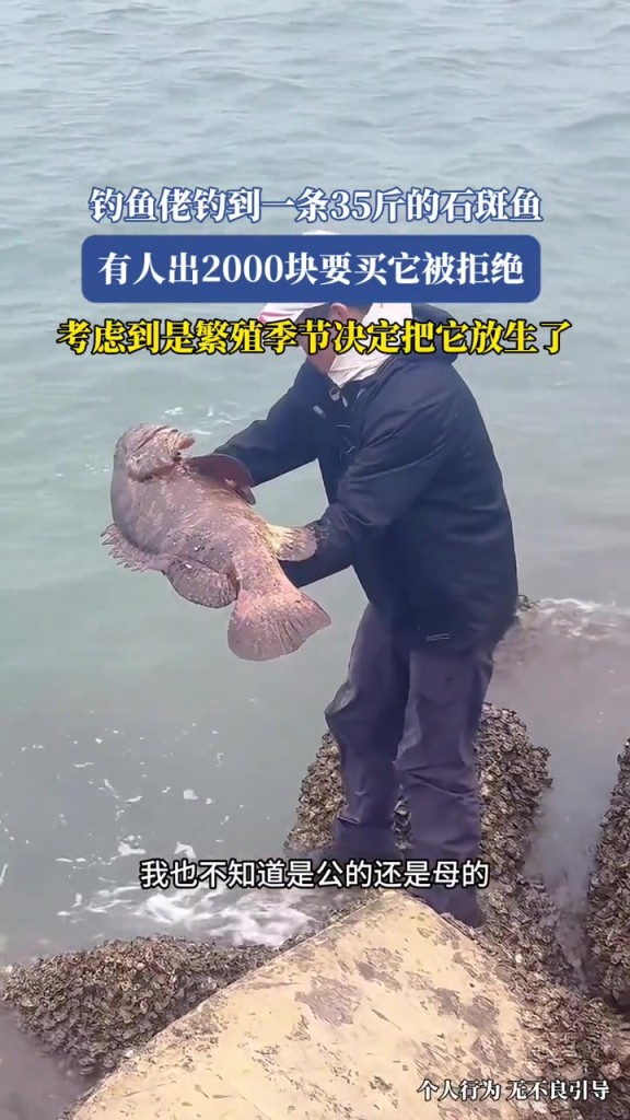釣魚佬釣到一條35斤的石斑魚,有人出2000塊要買它被拒絕!