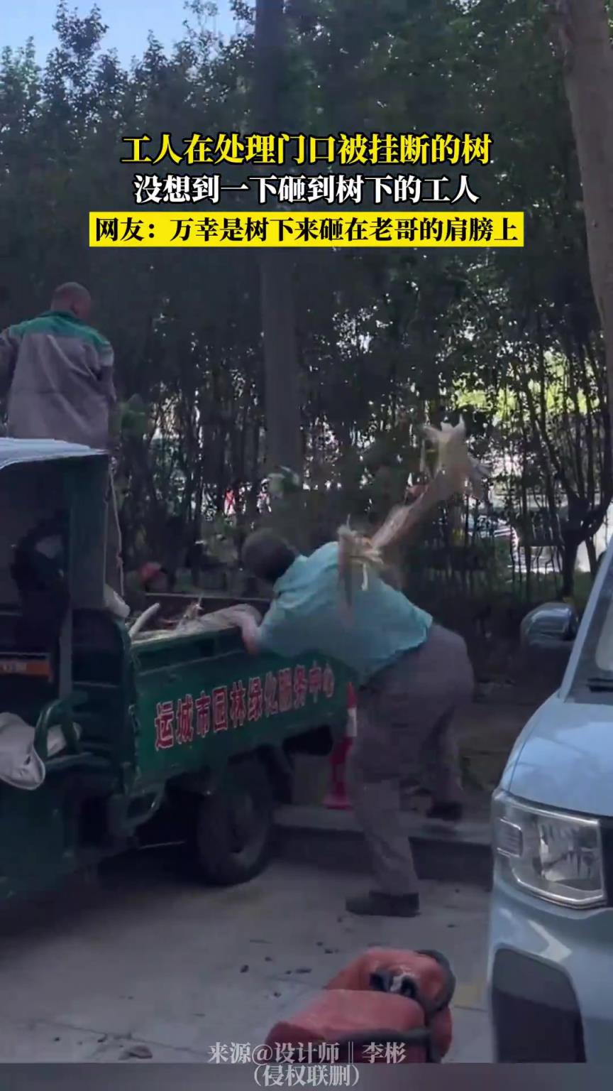 工人在處理門口被掛斷的樹，沒想到一下碰到樹下的工人！