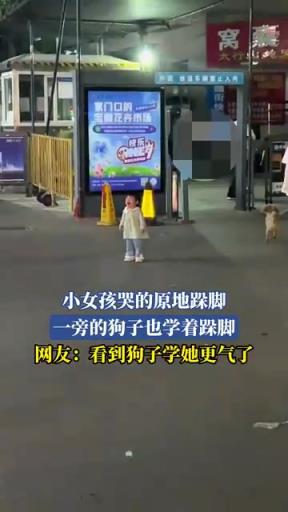 小女孩哭的原地跺腳 一旁的狗子也學(xué)著跺腳