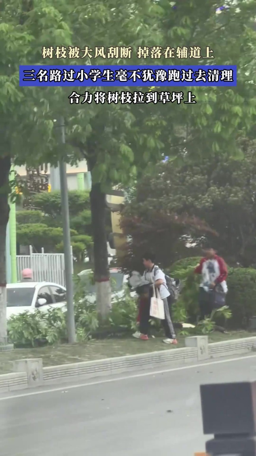 樹枝被大風刮斷，掉落在輔道上，三名路過學生毫不猶豫跑過去清理