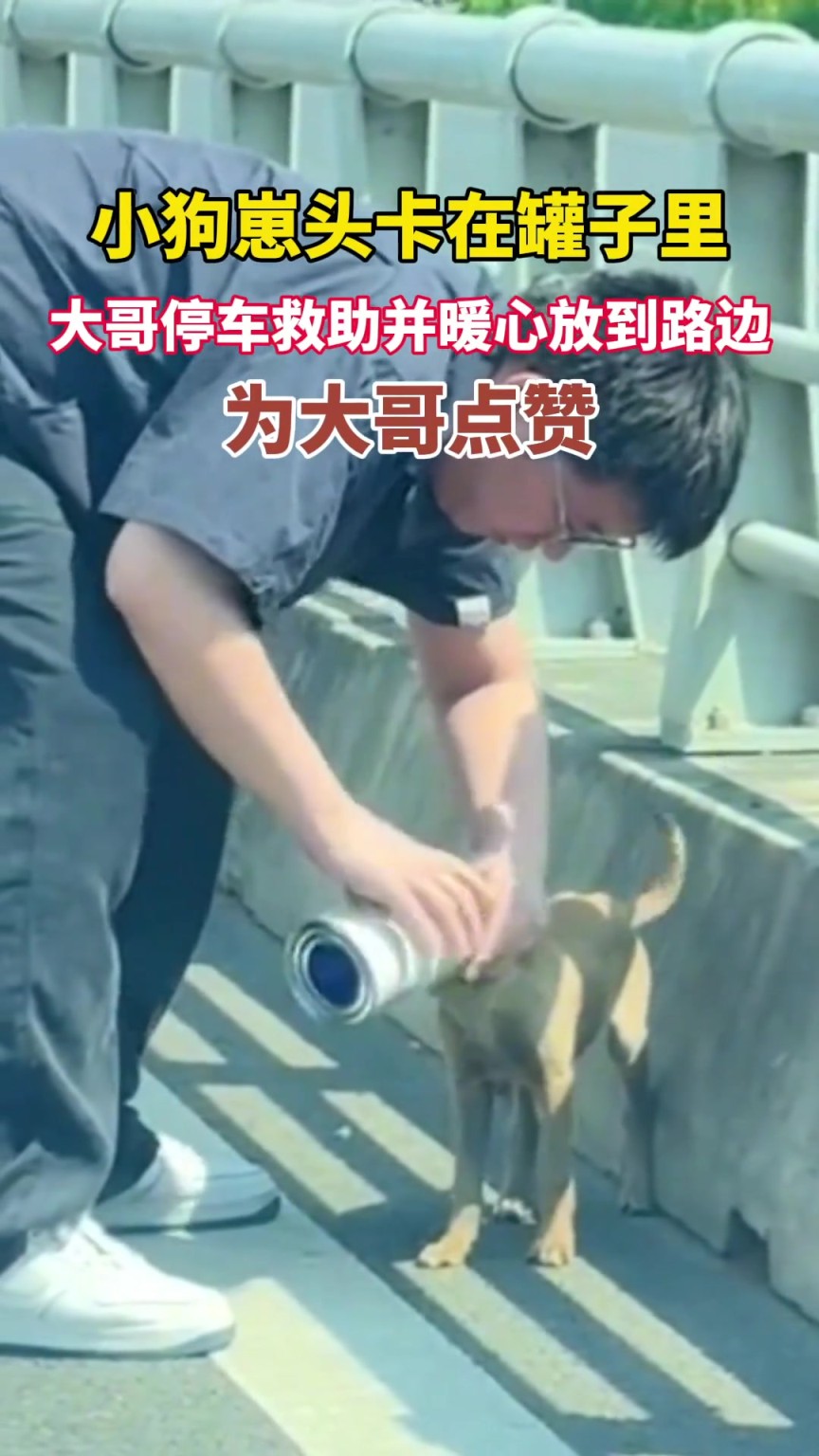 小狗崽頭卡在罐子里 大哥停車救助并暖心放到路邊