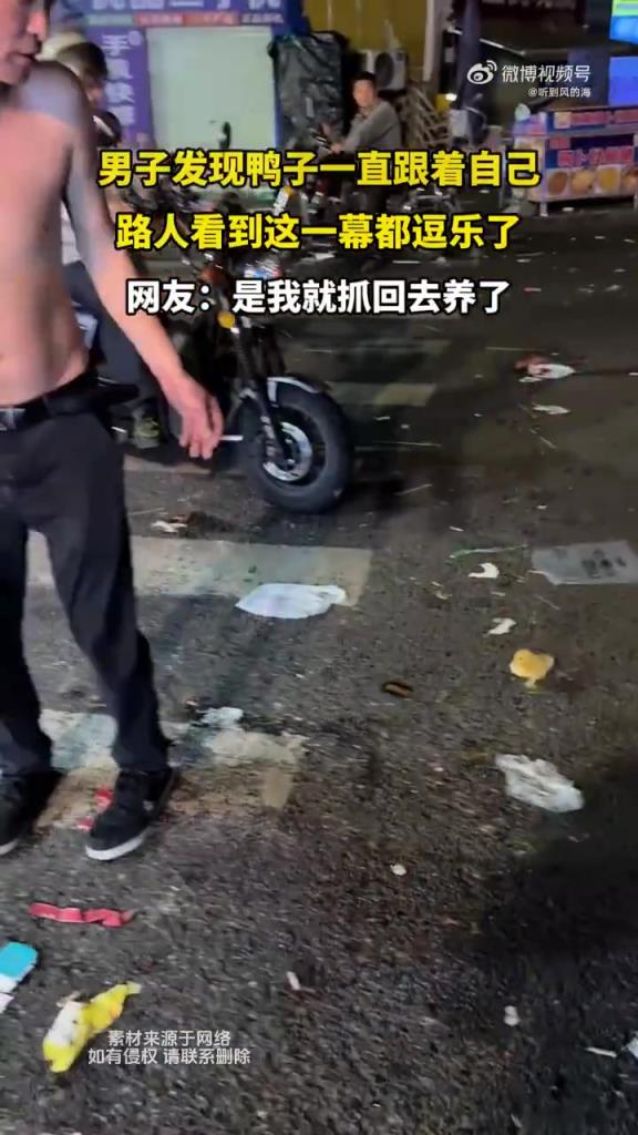 男子發(fā)現(xiàn)鴨子一直跟著自己 路人看到這一幕都逗樂了