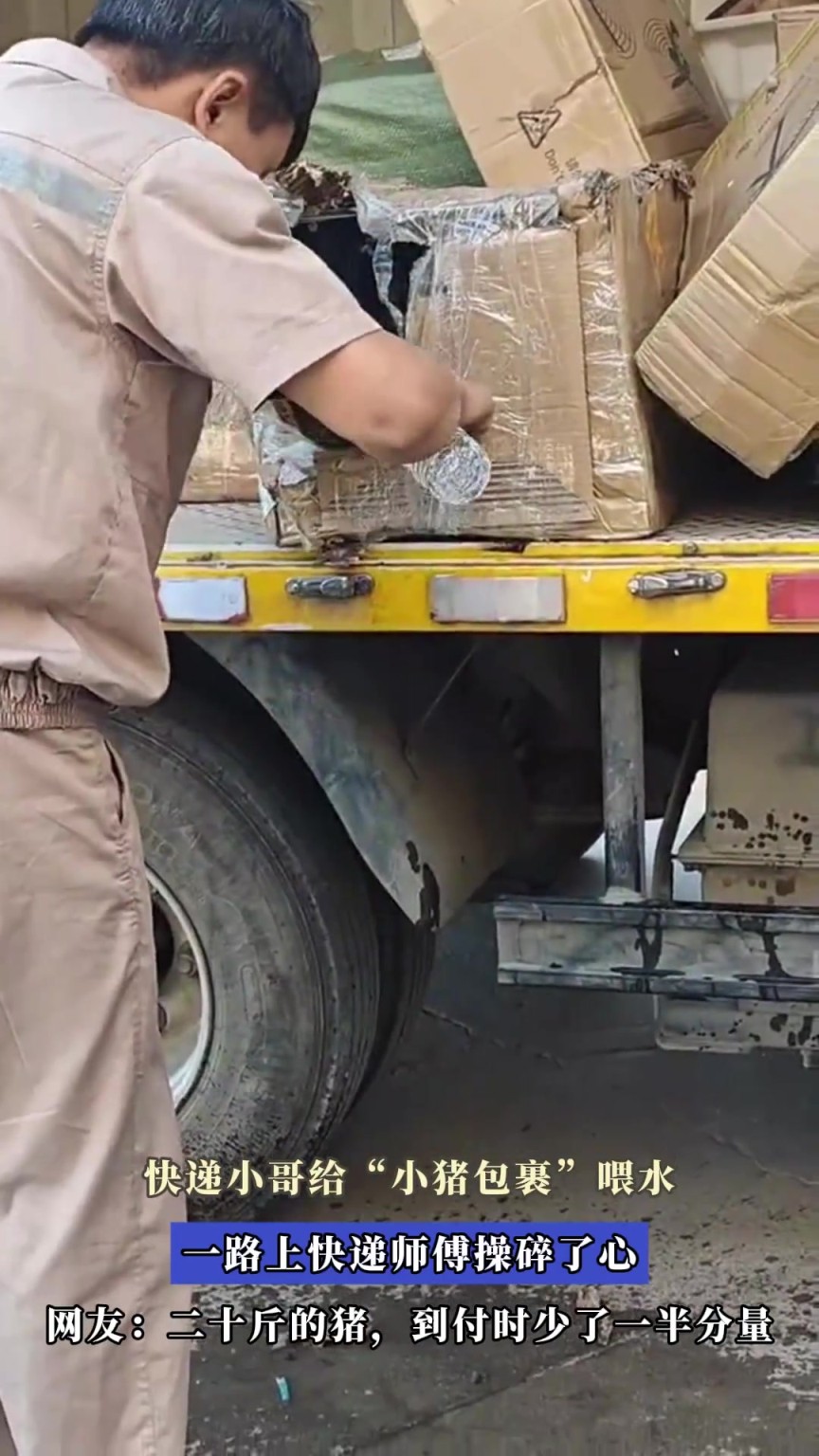 快遞小哥給“小豬包裹”喂水，一路上快遞師傅操碎了心