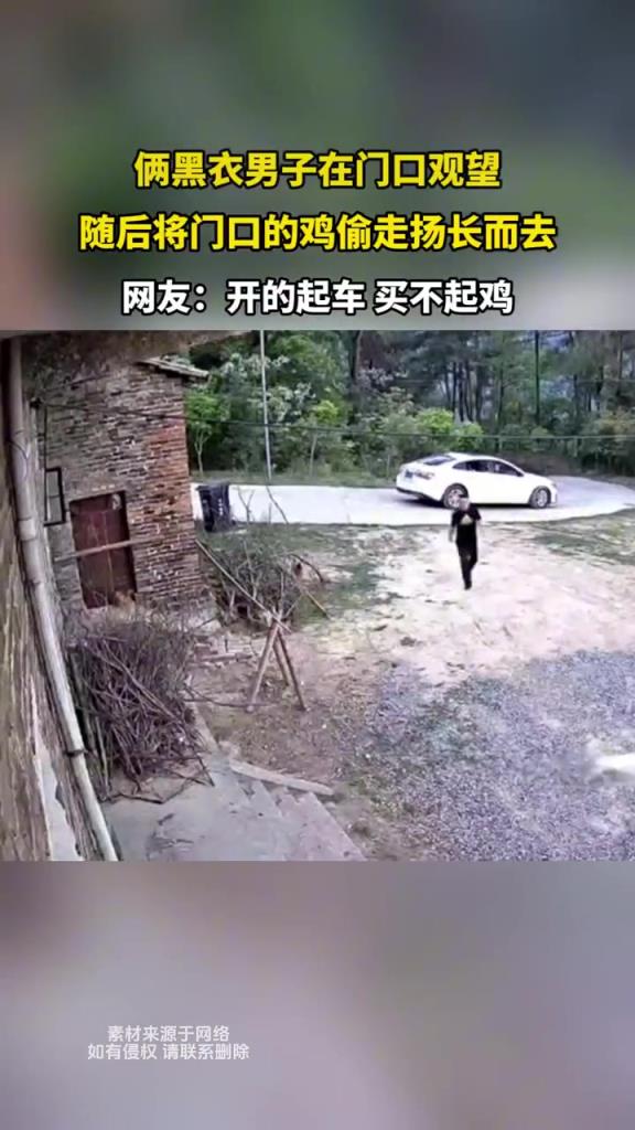 俩黑衣男子在门口观望 随后将门口的鸡偷走扬长而去