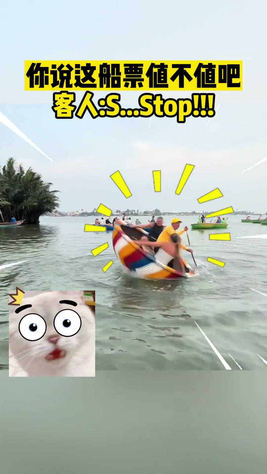 你就说这船票值不值吧！
