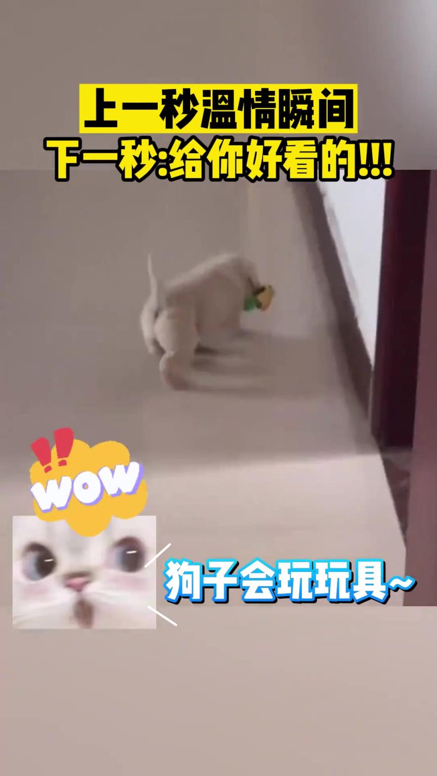 上一秒温情瞬间，下一秒:给你好看的!!!