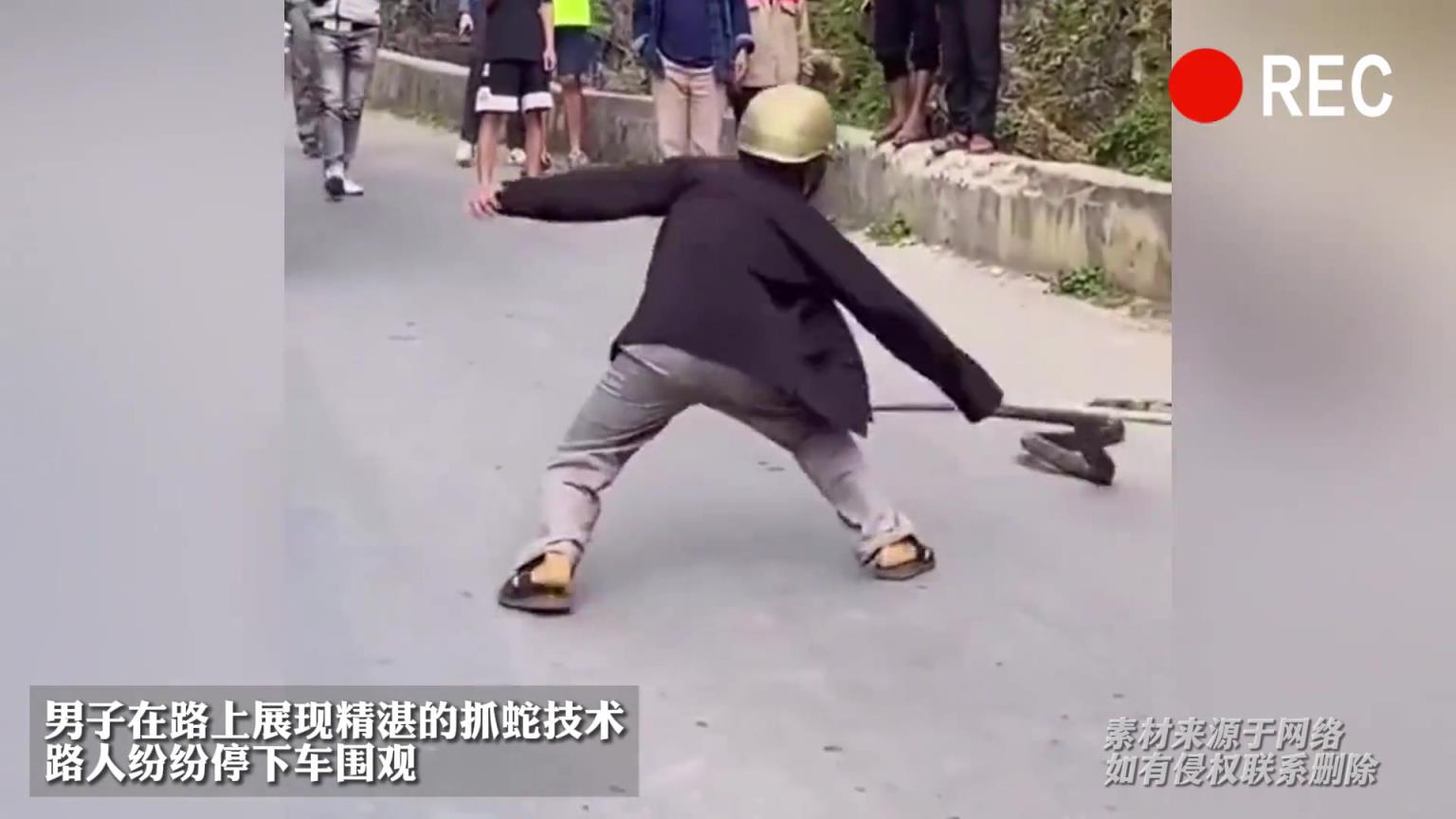 男子在路上展现精湛的抓蛇技术,路人纷纷停下车围观!!!