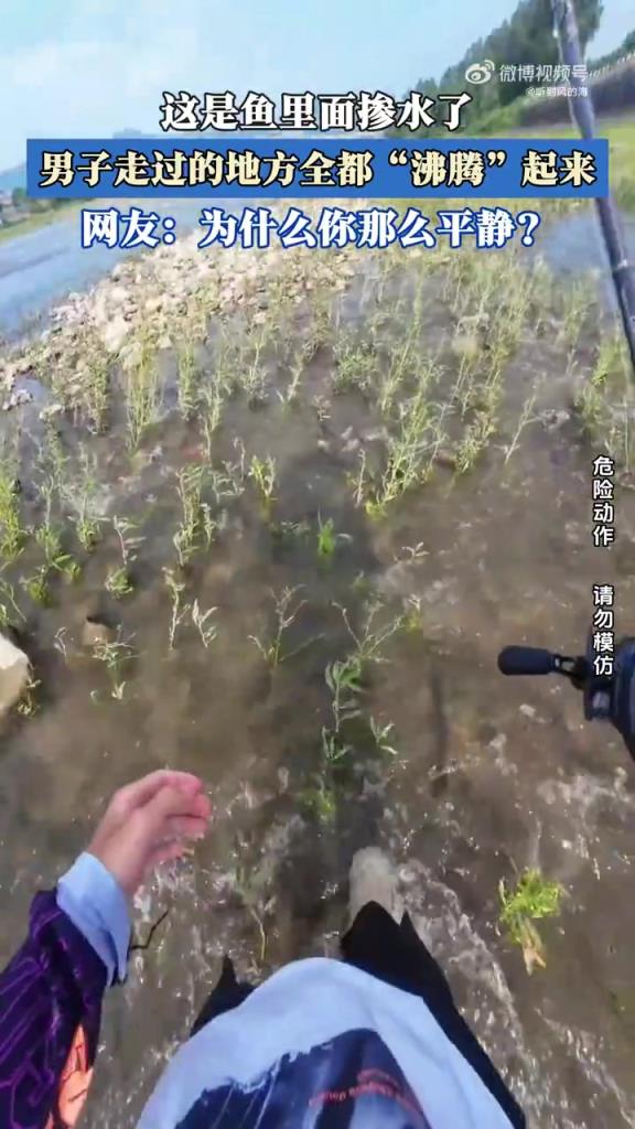 这是鱼里面掺水了，男子走过的地方全都“沸腾”起来！