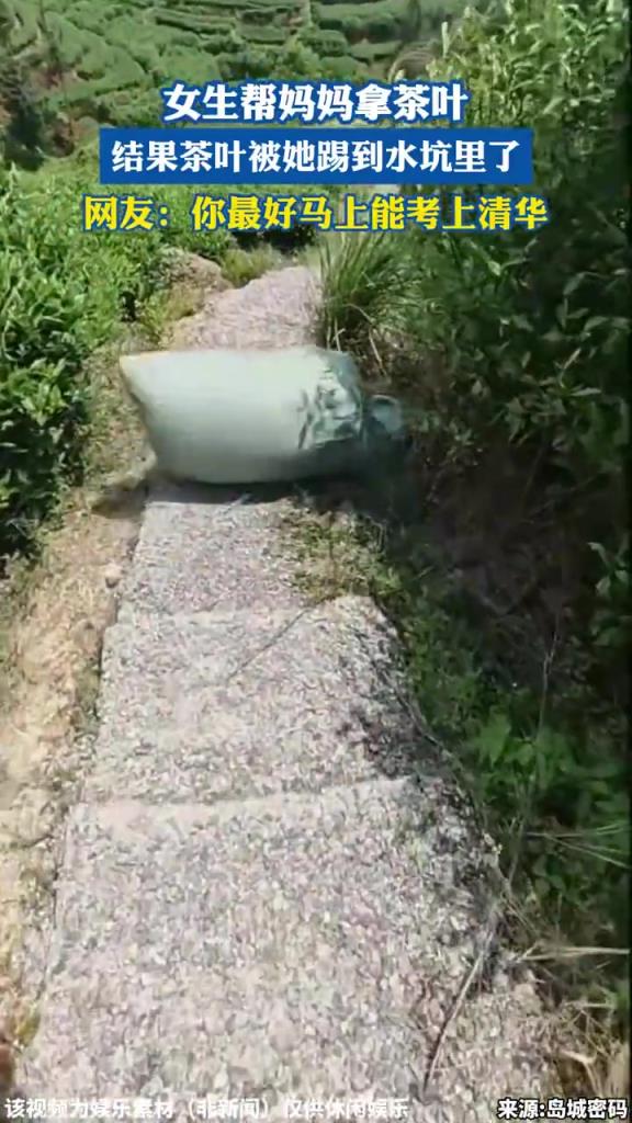 女生帮妈妈拿茶叶 结果茶叶被她踢到水坑里了