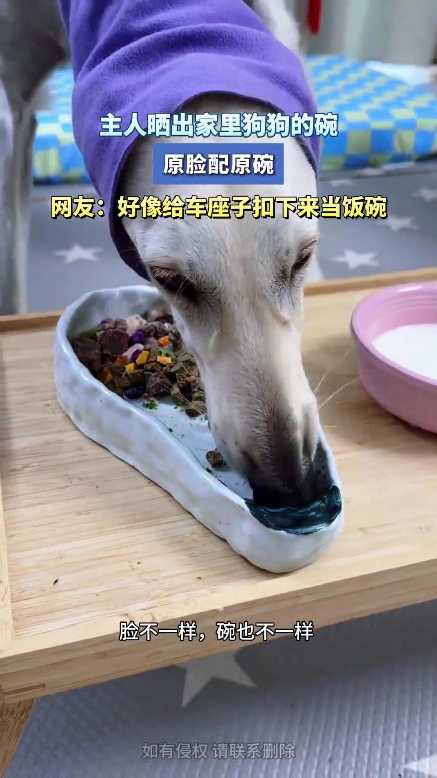 主人晒出家里狗狗的碗，网友：好像给车座子扣下来当饭碗