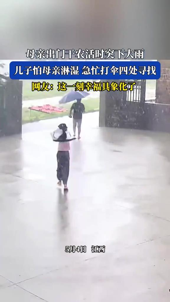母亲出门干农活时突下大雨 儿子怕母亲淋湿 急忙打伞四处寻找