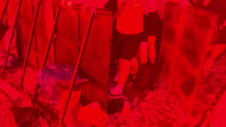 Vac电音节最有素质的人