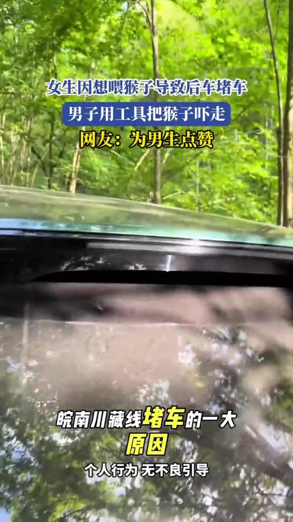 女生因想喂猴子导致后车堵车 男子用工具把猴子吓走