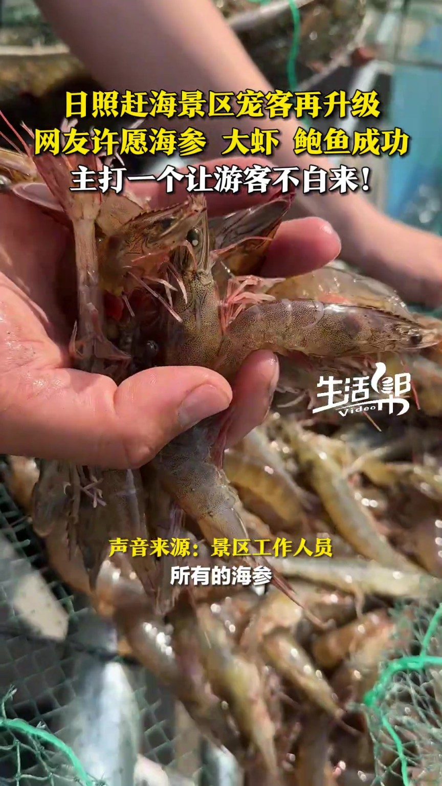 撒蛤蜊已經(jīng)滿足不了游客了！趕海景區(qū)寵客再升級