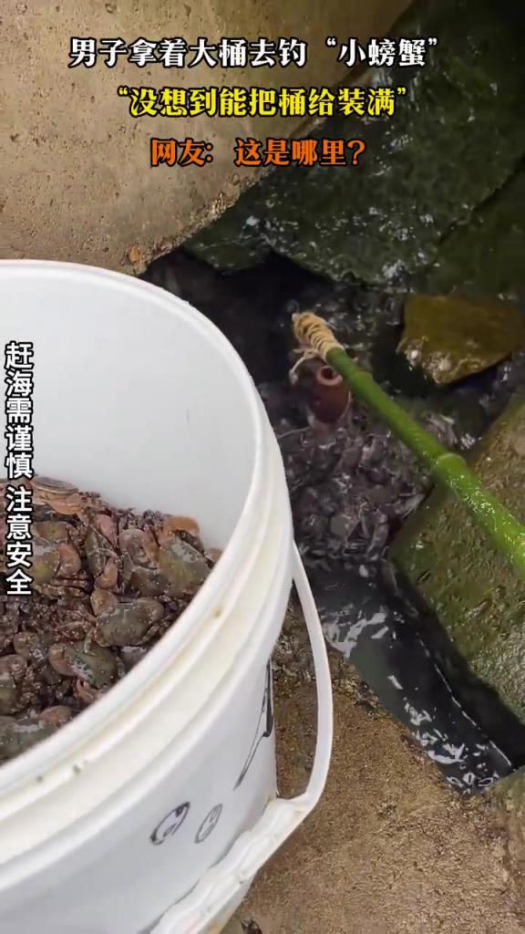 男子拿着大桶去钓小螃蟹 没想到能把桶给装满