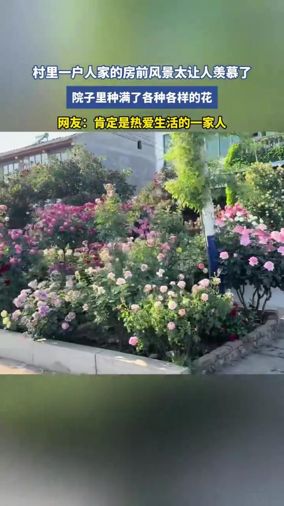 村里一户人家的房前风景太让人羡慕了