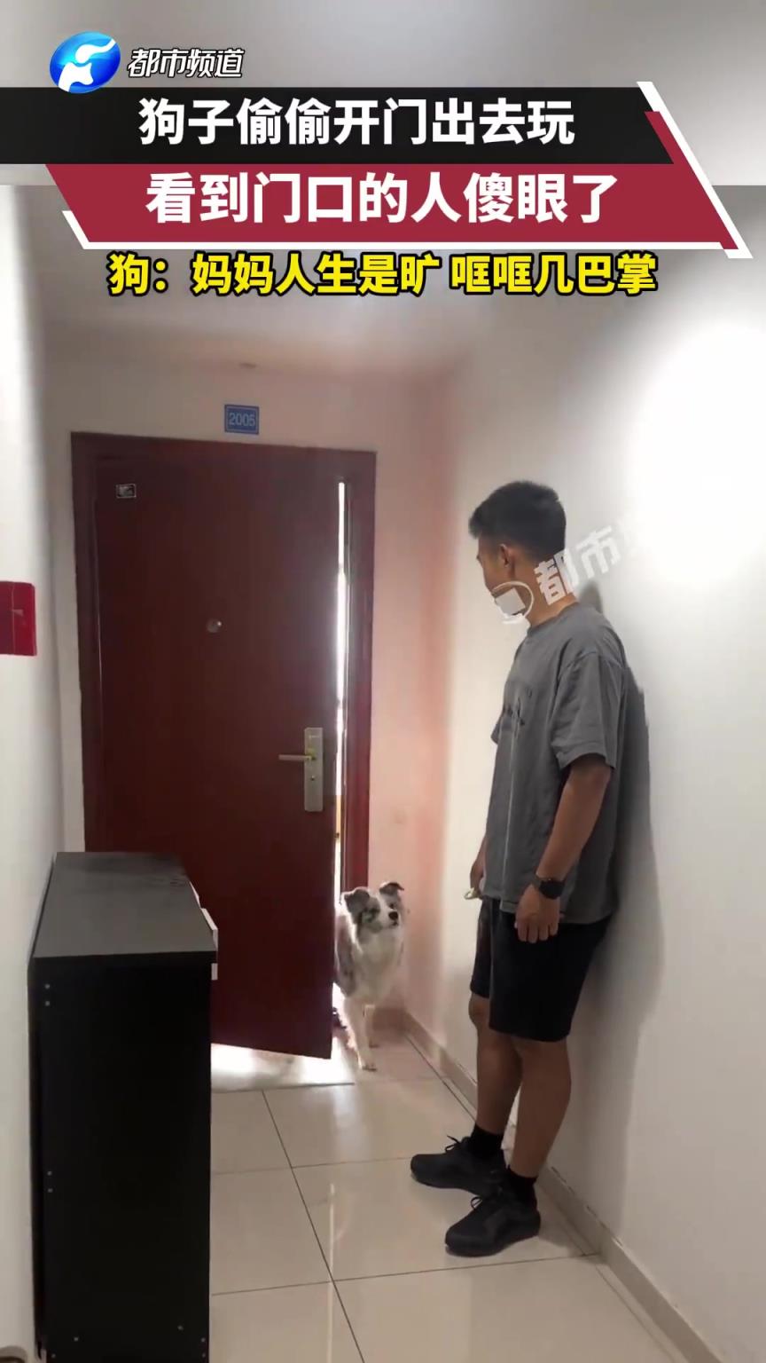 狗子偷偷開門出去玩，看到門口的人傻眼了