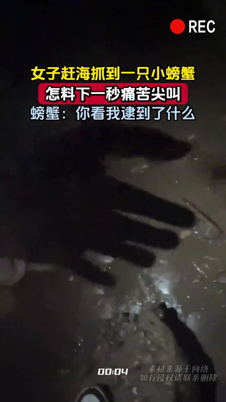 女子赶海抓到一只小螃蟹，怎料下一秒痛苦尖叫