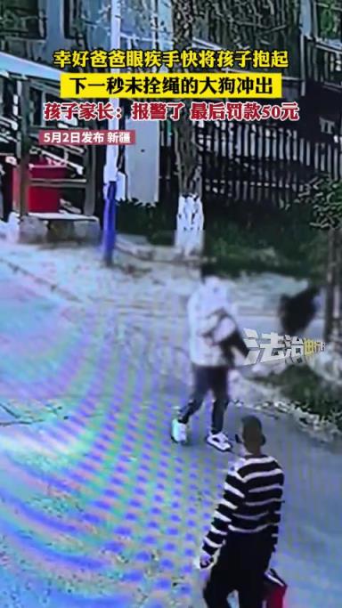 大狗冲向小孩，小孩被抱起后还不放弃！最后狗主人被罚50