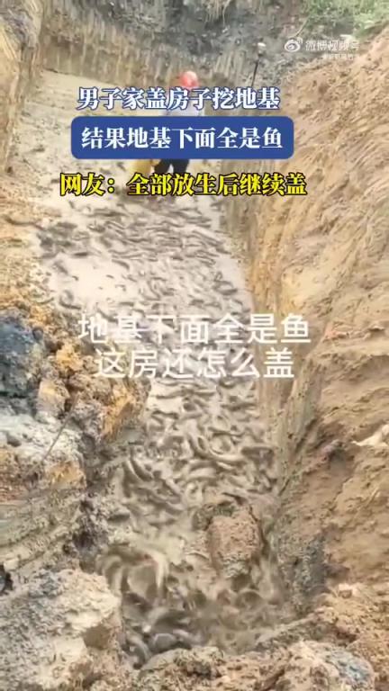 男子家盖房子挖地基，结果地基下面全是鱼！！！