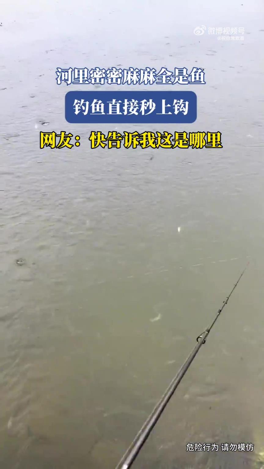 河里密密麻麻全是鱼，钓鱼直接秒上钩！