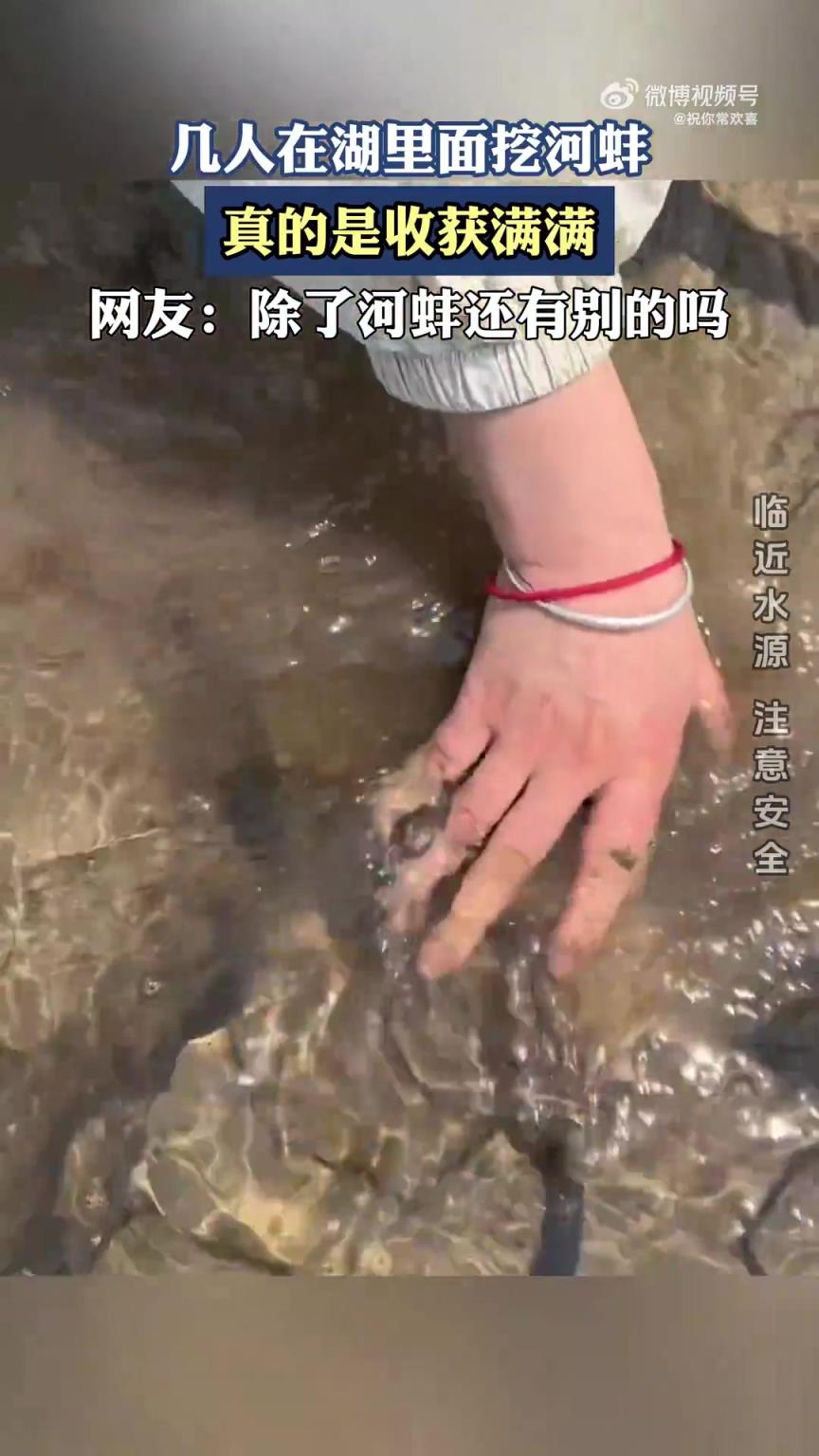 几人在湖里面挖河蚌，真的是收获满满！