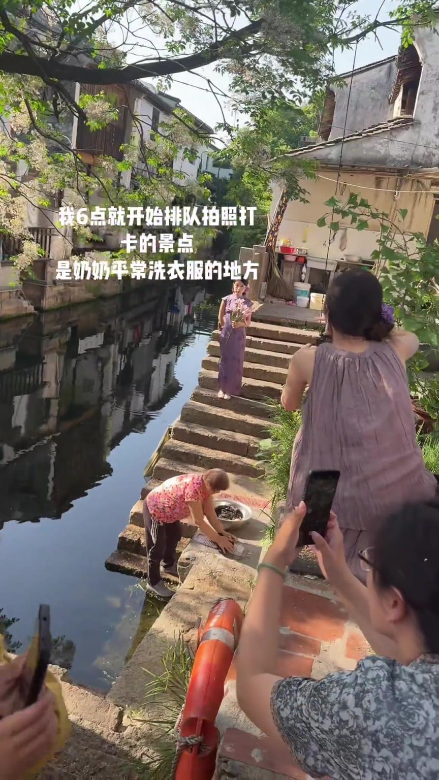 奶奶：一棵树有什么好拍的啊？！