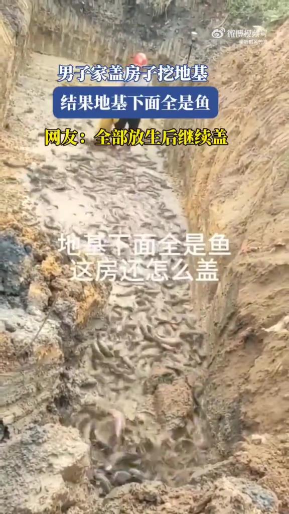 男子家盖房子挖地基 结果地基下面全是鱼