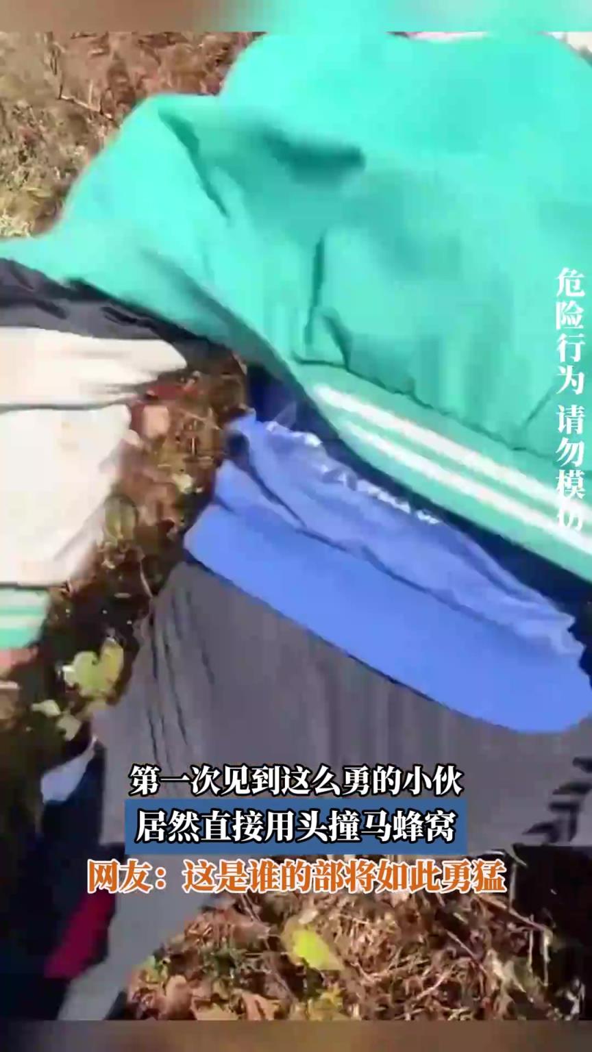 第一次见到这么勇的小伙，居然直接用头撞马蜂窝
