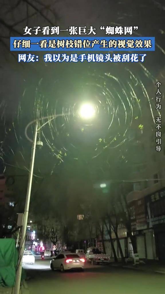 女子看到一张巨大“蜘蛛网”,仔细看是树枝错位产生的视觉效果!