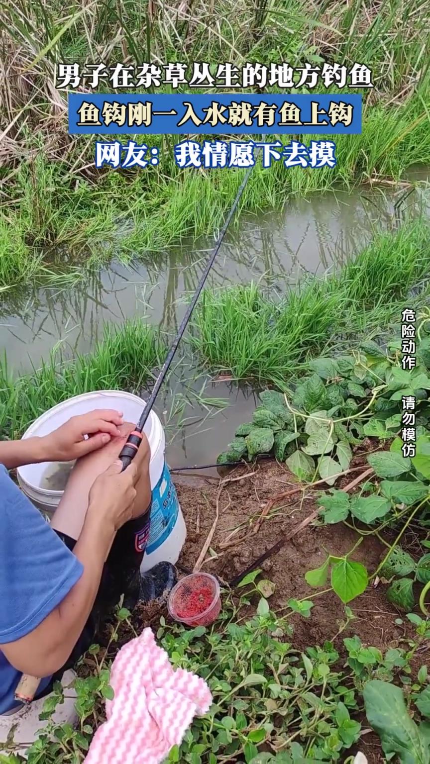 男子在雜草叢生的地方釣魚，魚鉤剛一入水就有魚上鉤。
