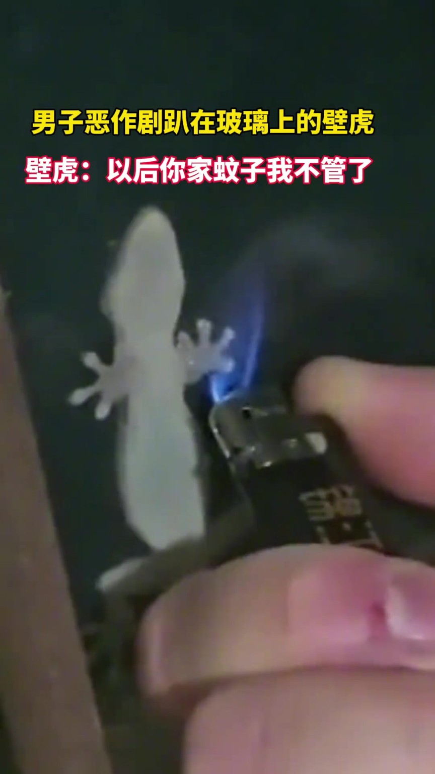 男子惡作劇趴在玻璃上的壁虎