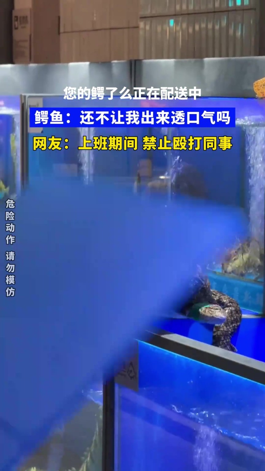 您的鳄了么正在配送，鳄鱼：还不让我出来透口气吗