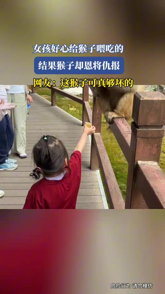 女孩好心给猴子喂吃的,结果猴子却恩将仇报!!