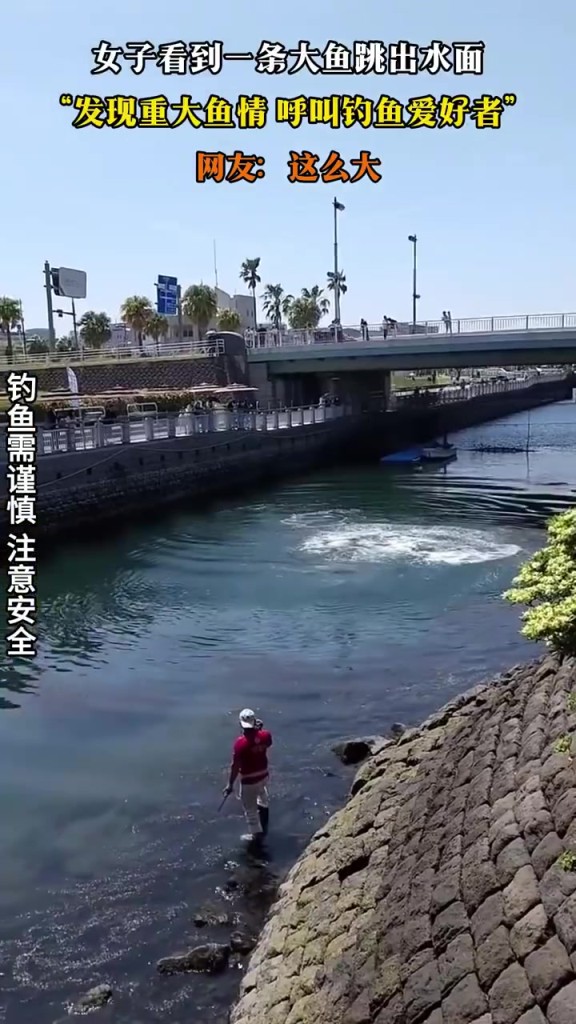 女子看到一條大魚跳出水面