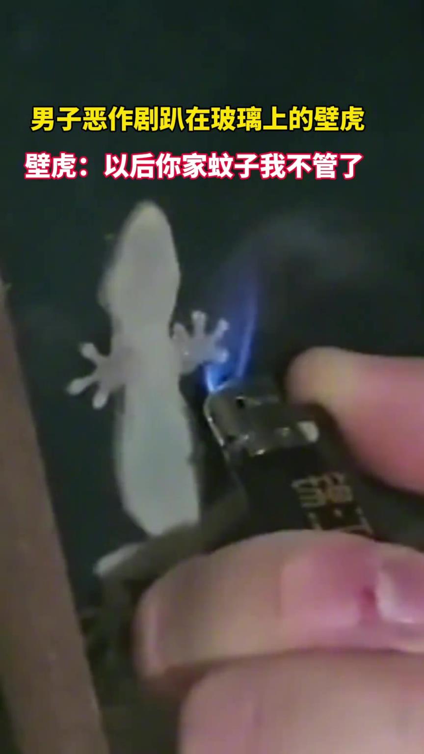 男子恶作剧趴在玻璃上的壁虎
