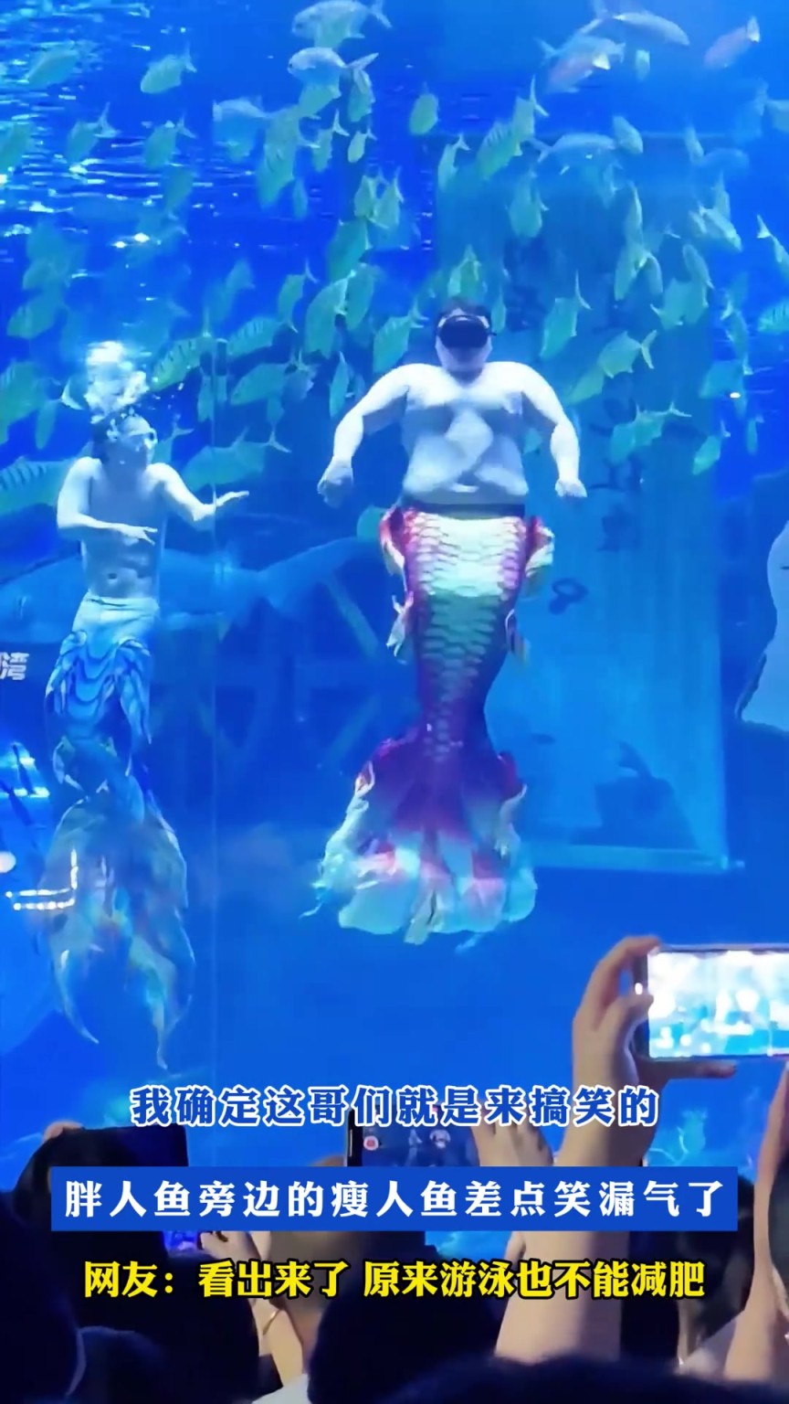 我確定這哥們就是來(lái)搞笑的，胖人魚旁邊的瘦人魚差點(diǎn)笑漏氣了