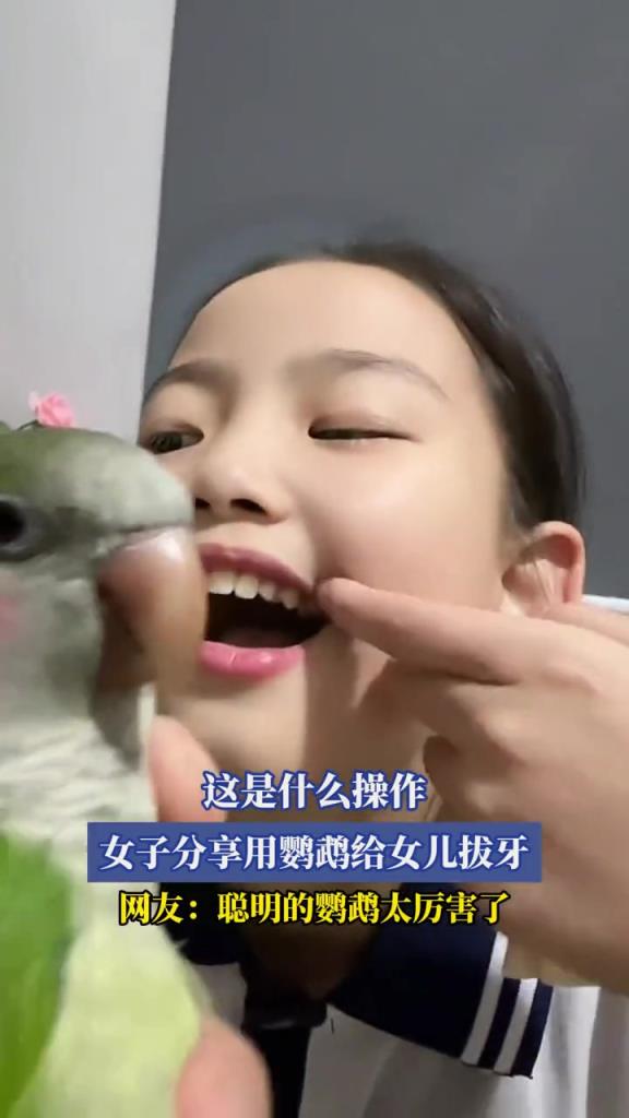女子分享用鹦鹉给女儿拔牙!!这是什么操作!