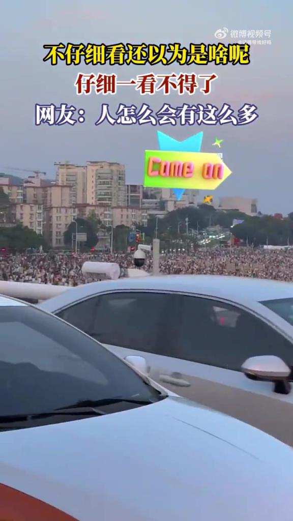不仔细看还以为是啥呢，仔细一看不得了
