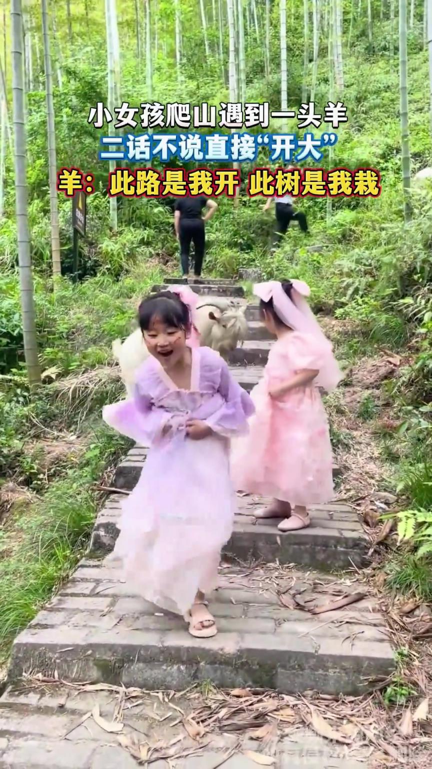 小女孩爬山遇到一头羊，二话不说直接“开大”