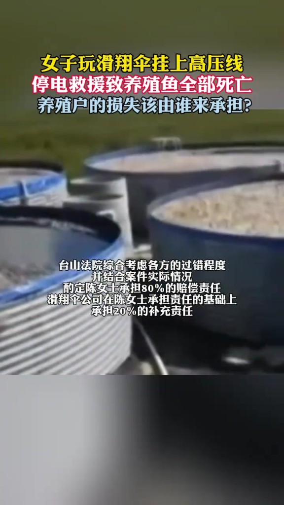 女子玩滑翔傘掛上高壓線 停電救援致養(yǎng)殖魚全部死亡